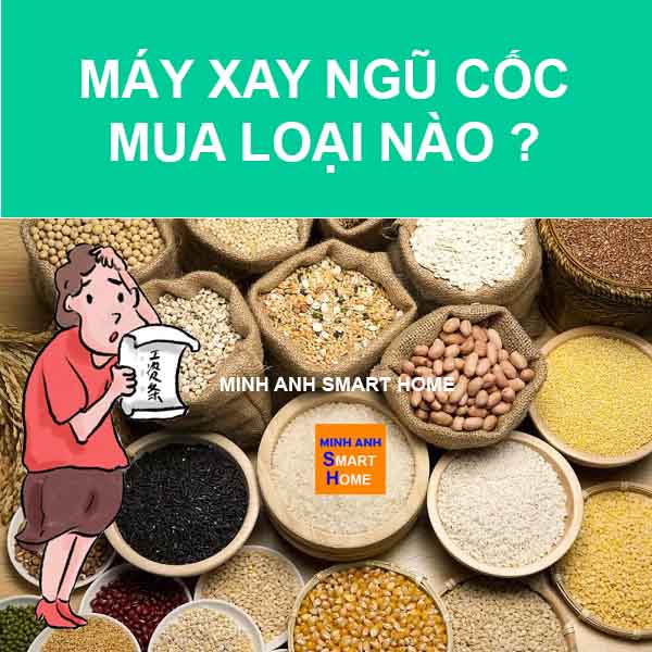 Máy xay ngũ cốc nên mua loại nào ?