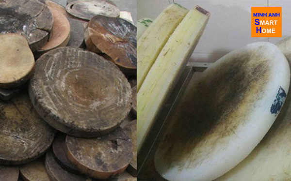 thớt gỗ, thớt nhựa bị nứt vỡ, nấm mốc và chứa nhiều vi khuẩn