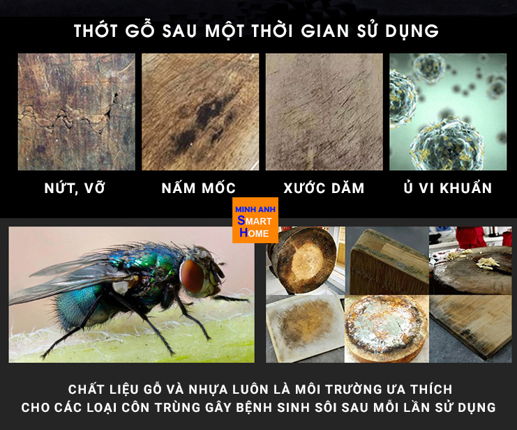 Chất liệu gỗ và nhựa là môi trường rưa thích của các loại côn trùng gây bệnh sinh sôi