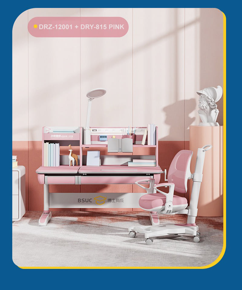 Ghế Chống Gù Cao Cấp DRY-815